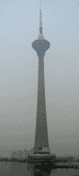 �V��