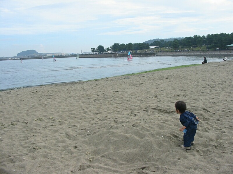 IMG_7255.jpg