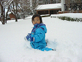 IMG_20399_thumb.png