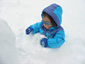IMG_20520_thumb.png