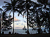 palmcove060_thumb.png