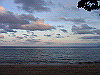 palmcove070_thumb.png