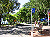 palmcove090_thumb.png