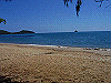palmcove100_thumb.png