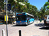 palmcove110_thumb.png
