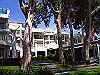 palmcove230_thumb.png