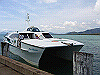 palmcove240_thumb.png