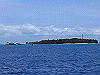 palmcove250_thumb.png