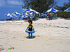 palmcove270_thumb.png