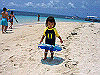 palmcove280_thumb.png