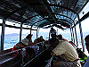 palmcove290_thumb.png
