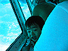 palmcove310_thumb.png