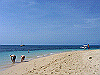 palmcove330_thumb.png
