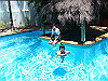 palmcove340_thumb.png