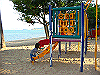 palmcove380_thumb.png