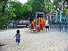 palmcove390_thumb.png