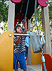 palmcove400_thumb.png