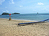 palmcove410_thumb.png