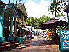 palmcove420_thumb.png