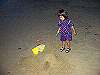 palmcove460_thumb.png