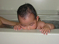 IMG_1204r_thumb.png