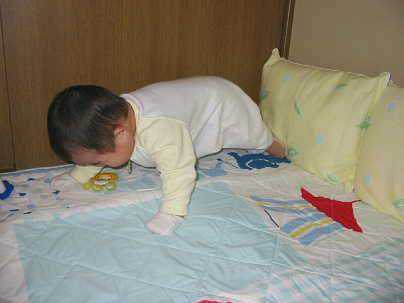IMG_1537r.jpg