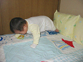 IMG_1537r_thumb.png