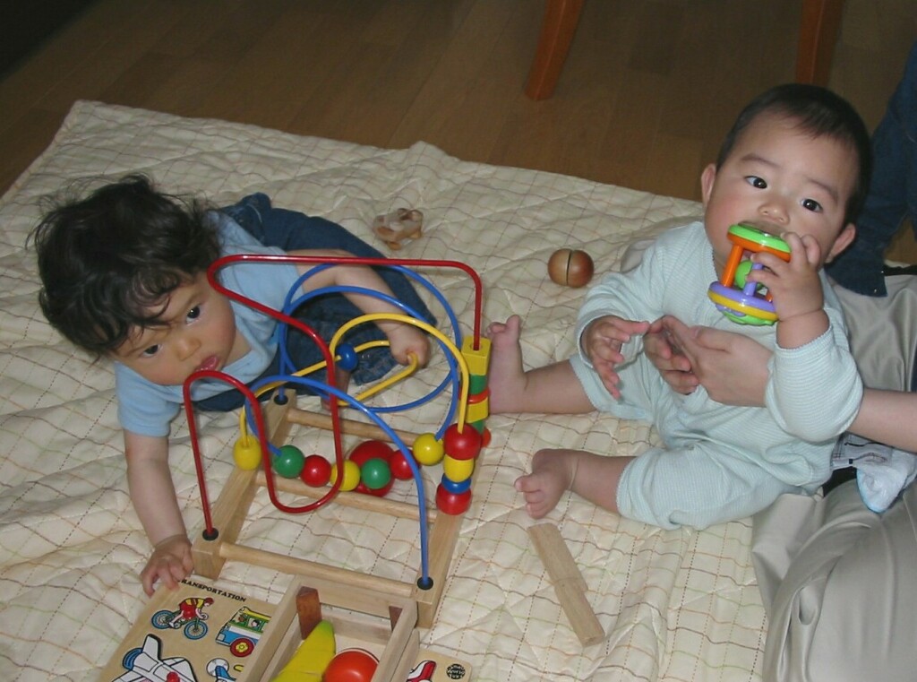 IMG_1791_cut.jpg