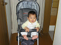 IMG_2906_r_thumb.png