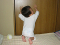 IMG_3081_r_thumb.png