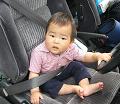 IMG_3462_r_thumb.png